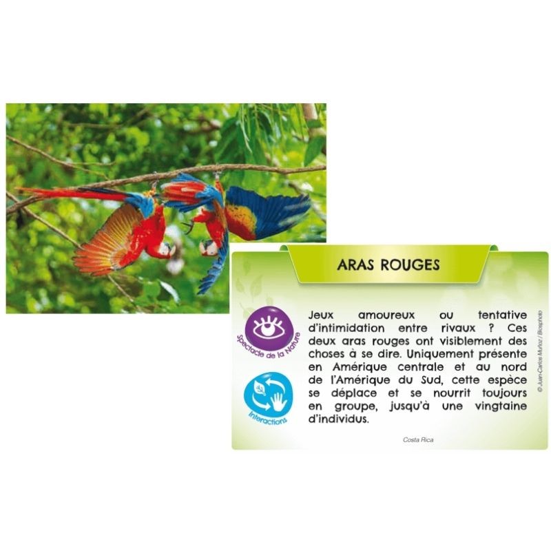 Bioviva Planète - Jungles et Forêts