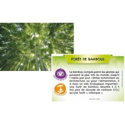 Bioviva Planète - Jungles et Forêts Bioviva Planète - Jungles et Forêts