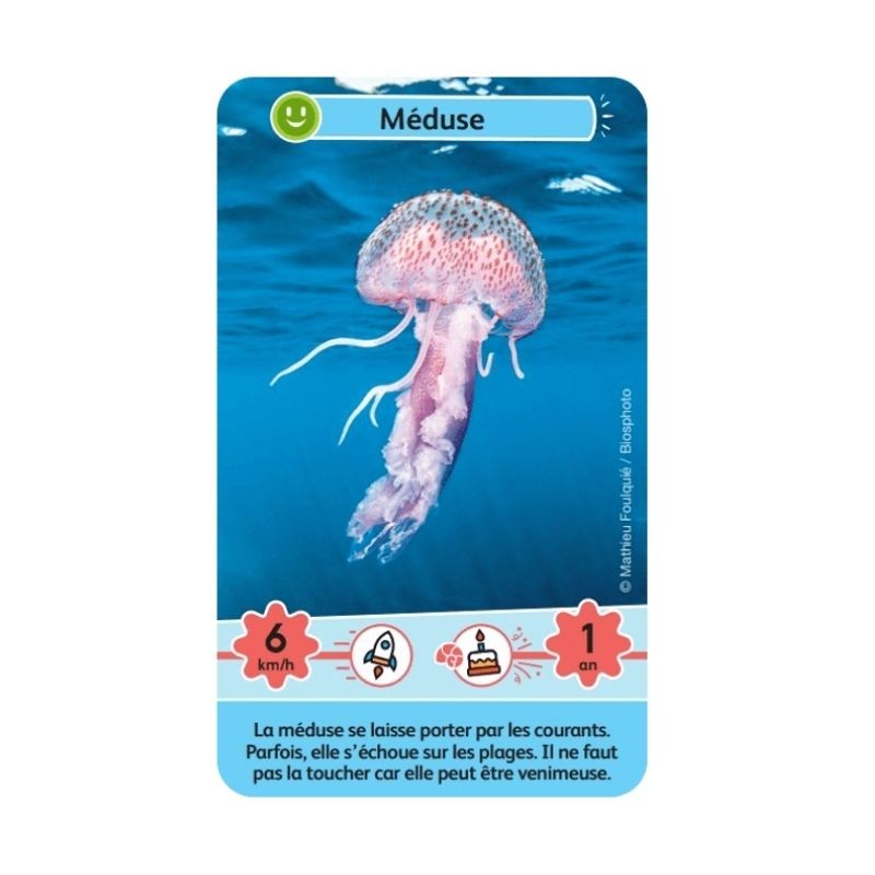 Jeu Défis Nature Junior - Merveilles de la mer - Bioviva