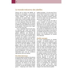 Hôtels à insectes - Abeilles sauvages, bourdons & Cie au jardin