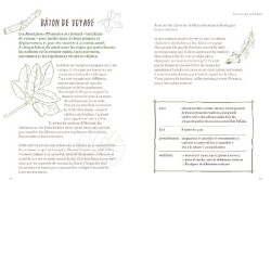 L'école de la Forêt - Jeux et apprentissages dans les bois pour aventuriers en herbe L'école de la Forêt - Jeux et apprentissages dans les bois pour aventuriers en herbe