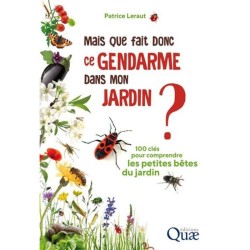 Offrez toutes les techniques pour accueillir les insectes au jardin