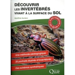 Découvrir les invertébrés vivant à la surface du sol