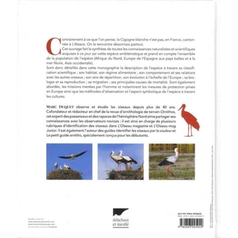 La cigogne blanche