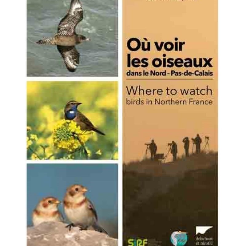 Où voir les oiseaux dans le Nord-Pas-de-Calais