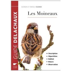 Les Moineaux - Description, répartition, habitat, murs, observation