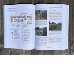 Pas à pas vers une terre vivante