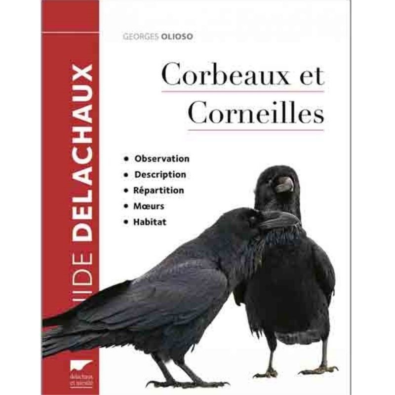 Corbeaux et Corneilles - Observation, description, répartition, moeurs, habitat