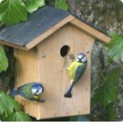 Nichoir Portland avec toit en ardoise - 28mm Nichoir Portland avec toit en ardoise - 28mm