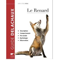 Le Renard - Description, comportement, vie sociale, mythologie, observation