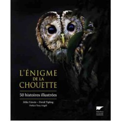 L'énigme de la chouette - 50 histoires illustrées