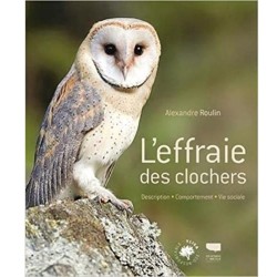 L'effraie des clochers - Description, comportement, vie sociale L'effraie des clochers - Description, comportement, vie sociale