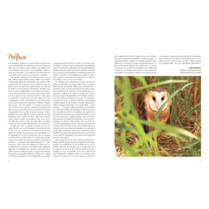 L'effraie des clochers - Description, comportement, vie sociale