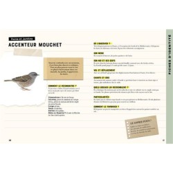 Oiseaux - Carnet Nature Oiseaux - Carnet Nature