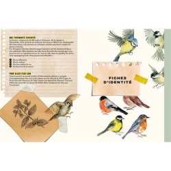 Oiseaux - Carnet Nature Oiseaux - Carnet Nature