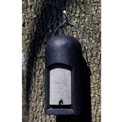 Gîte à chauves-souris avec accès réduit - Béton de bois - Schwegler (3FN - 138/2)