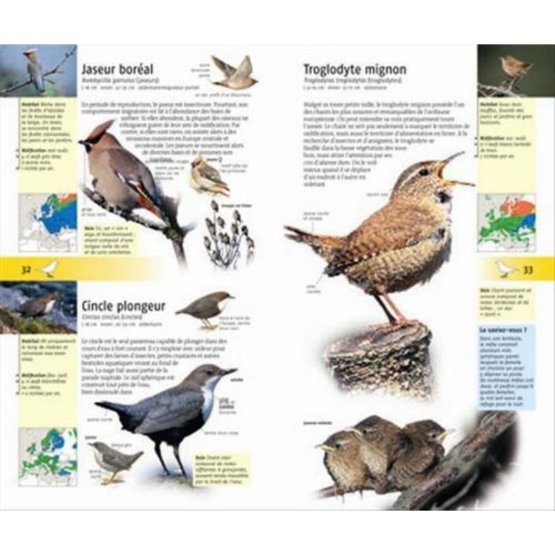440 oiseaux