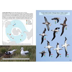 Guide photo des oiseaux marins du monde Guide photo des oiseaux marins du monde