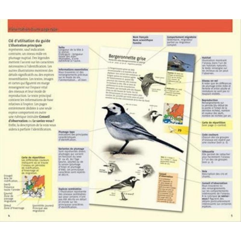 440 oiseaux
