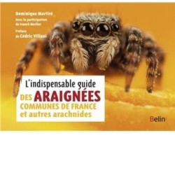 L'indispensable guide des araignées communes de France et autres arachnides
