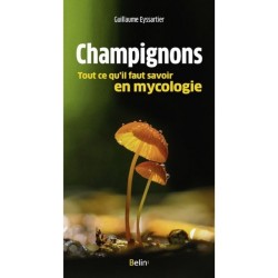 Champignons, tout ce qu'il faut savoir en mycologie