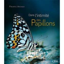 Dans l'intimité des Papillons
