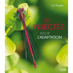 Les insectes - Rois de l'adaptation