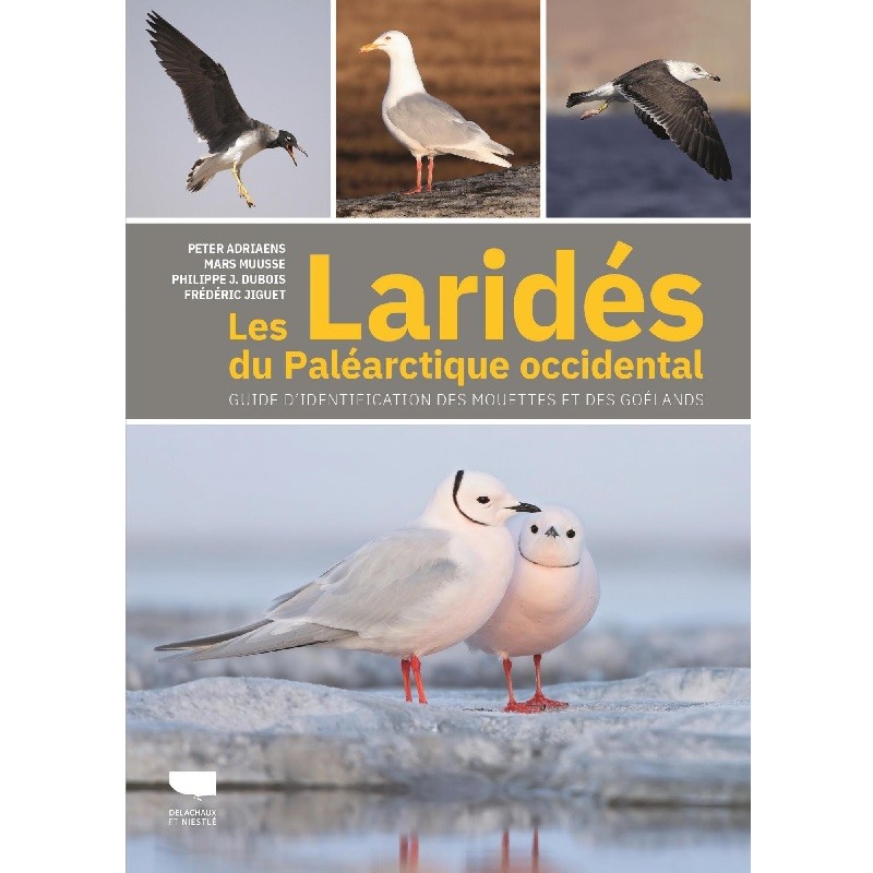 Les Laridés du Paléarctique occidental - Guide d'identification des mouettes et des goélands