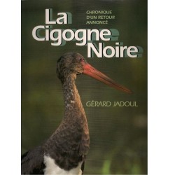 La Cigogne noire