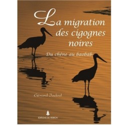 La migration des cigognes noires