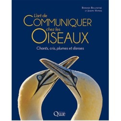 L'art de communiquer chez les oiseaux - Chants, cris, plumes et danses