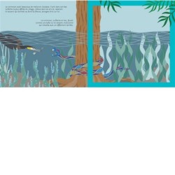 Comment les couleurs vinrent aux oiseaux Comment les couleurs vinrent aux oiseaux