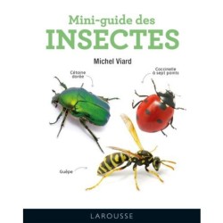 Mini-guide des insectes