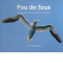 Fou de fous - monographie photographique sur le sulidae