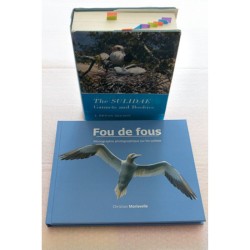 Fou de fous - monographie photographique sur le sulidae
