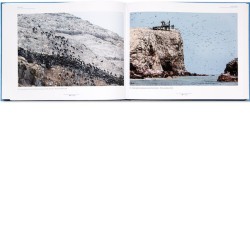 Fou de fous - monographie photographique sur le sulidae