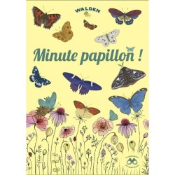 Minute papillon ! - Les explorateurs