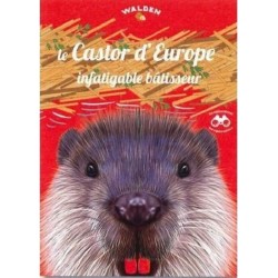 Le castor d'Europe, infatigable bâtisseur - Les explorateurs