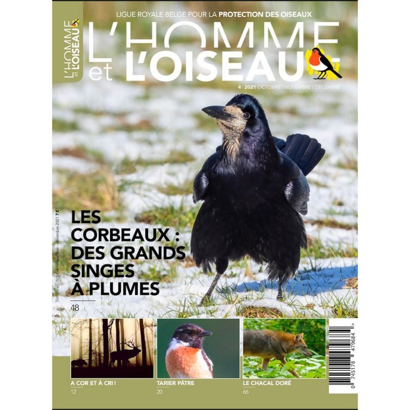 Revue L'Homme et l'Oiseau - Les corbeaux : des grands singes à plumes - 4/2021