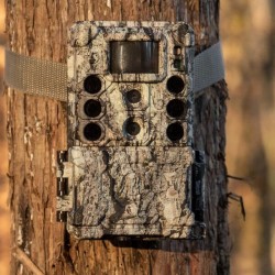 Bushnell CORE DS-4K NO GLOW TRAIL CAMERA (32 MP) - Piège photographique