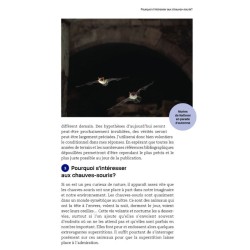 Les chauves-souris ont-elles peur de la lumière ? 100 clés pour comprendre les chauves-souris!