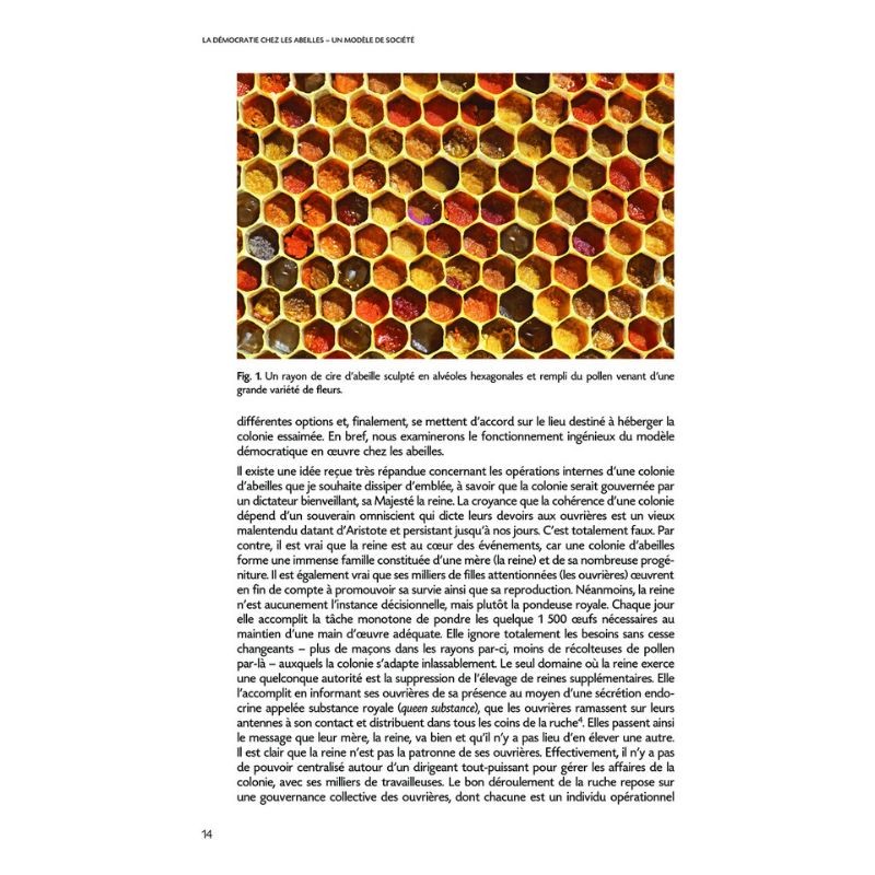 La démocratie chez les abeilles - Un modèle de société