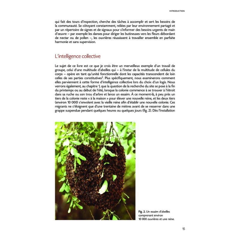 La démocratie chez les abeilles - Un modèle de société