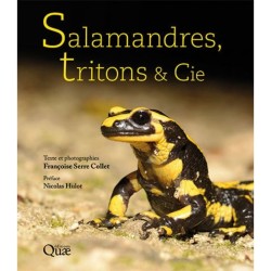 Salamandres, Tritons & Cie Salamandres, Tritons & Cie