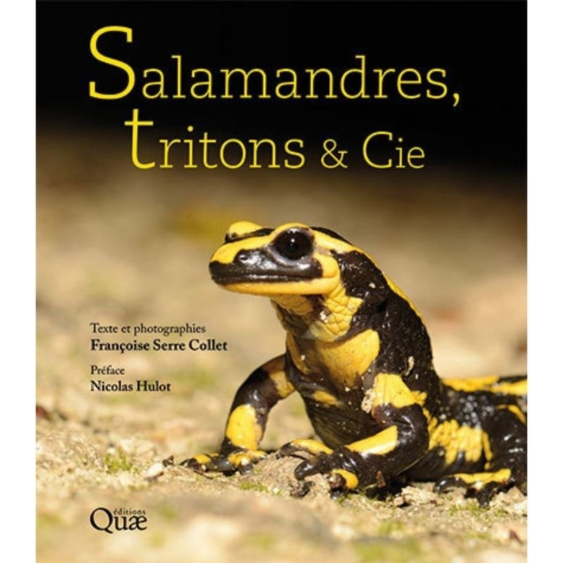 Salamandres, Tritons & Cie
