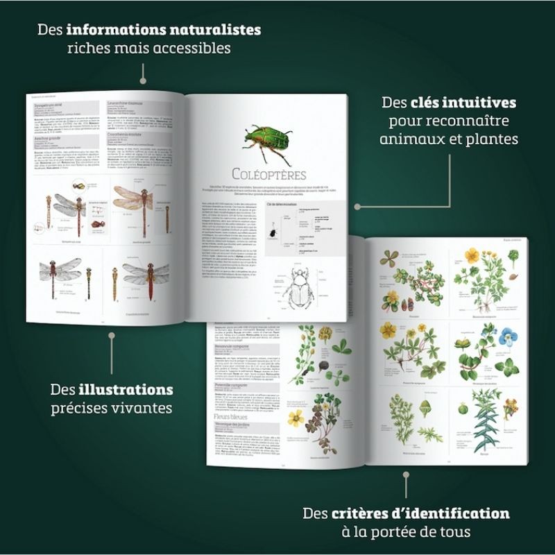 Le Grand Livre De La Nature