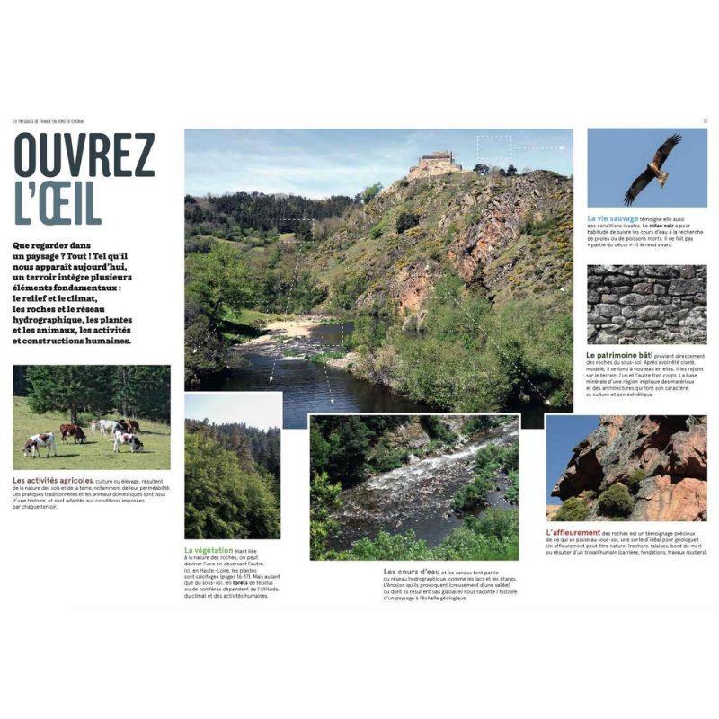 Paysages de France en bord de chemin