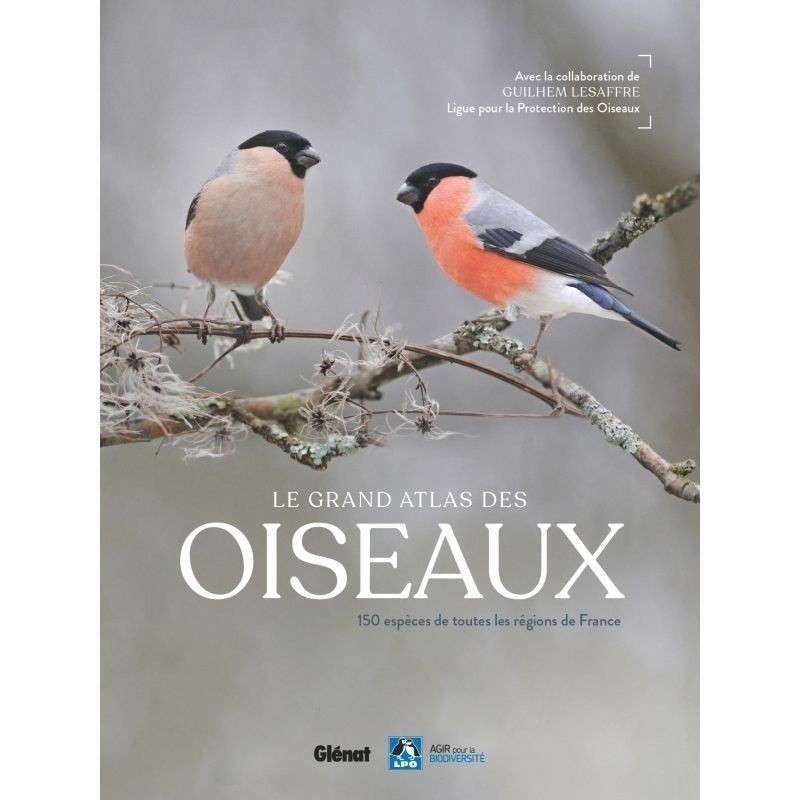Le grand Atlas des oiseaux - 150 oiseaux des régions de France