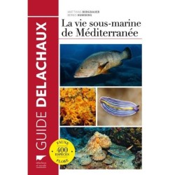 La vie sous-marine de Méditerranée
