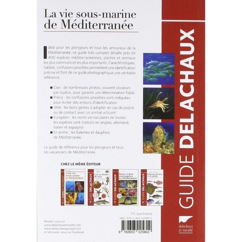 La vie sous-marine de Méditerranée La vie sous-marine de Méditerranée